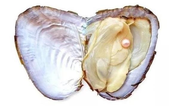 戴上珍珠发夹就是小仙女,当女人戴上眼镜