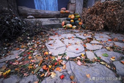 我和悬崖村的故事,我和北京小说