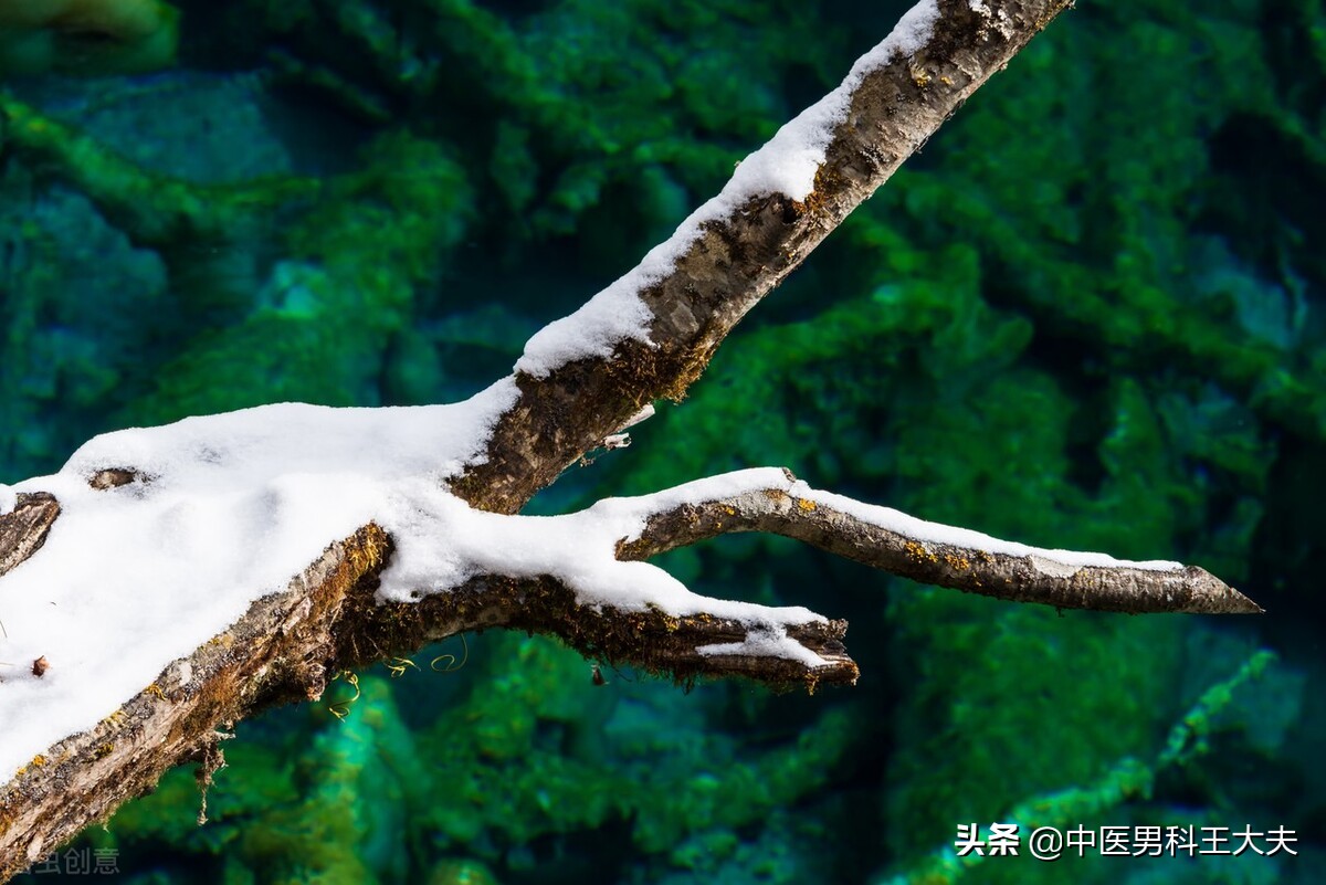 湿热淤堵引起的腰膝酸软,湿热下注肾气不足精关不固吃什么