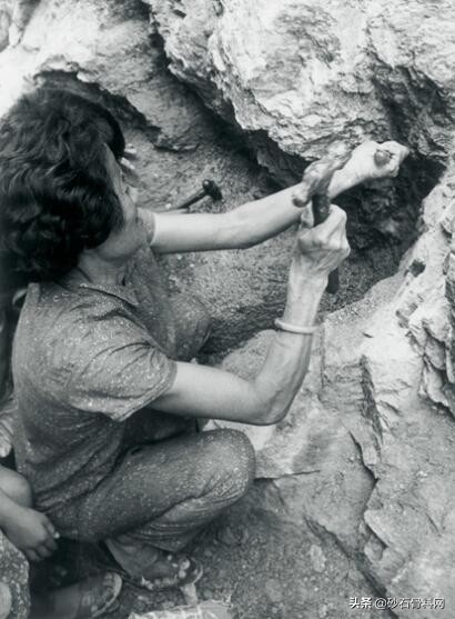 嘉华：香港砂石行业的先锋