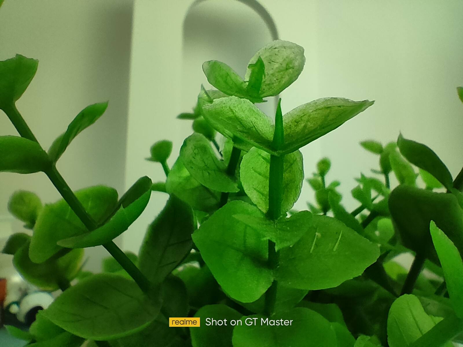 realmegt大师版哪个好看,realmegt大师版手机评测