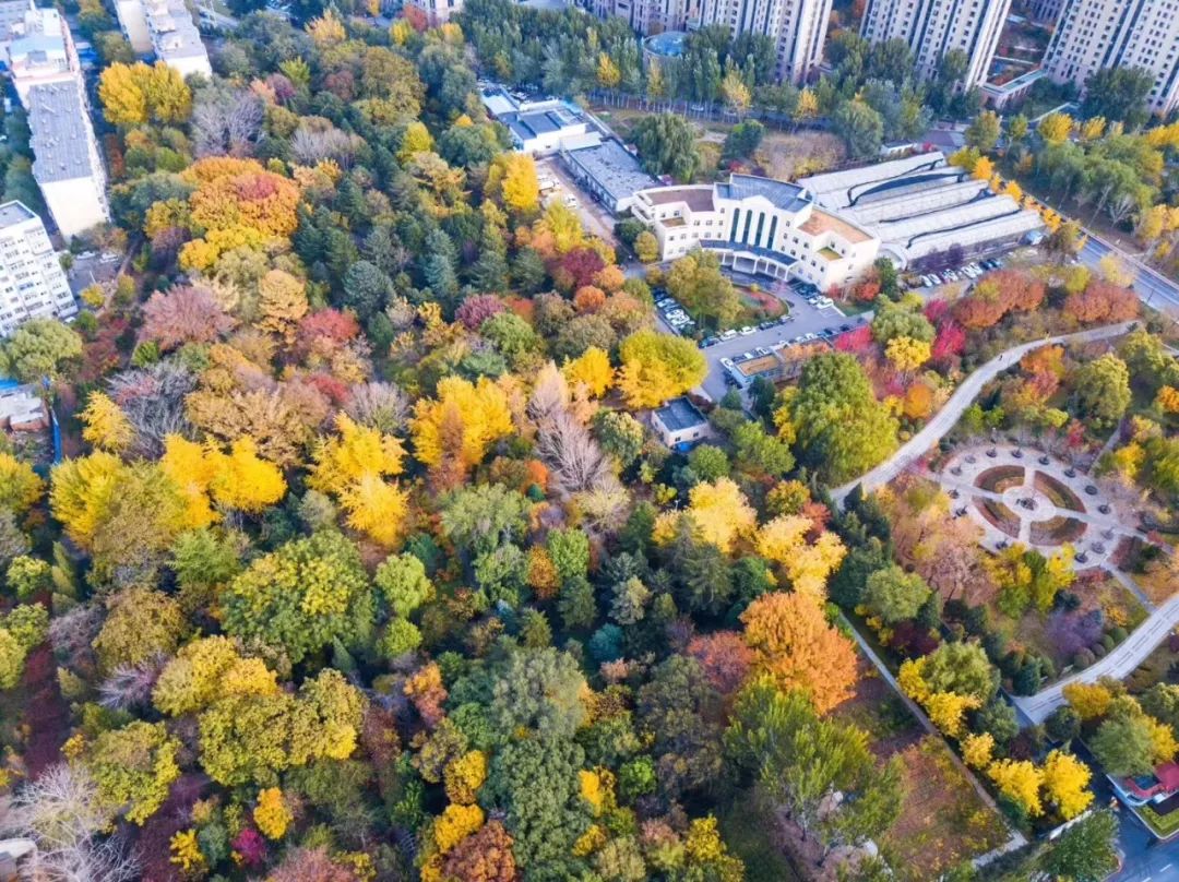 大疆“御”MavicAir，你见过可以塞进口袋的随行无人机吗？