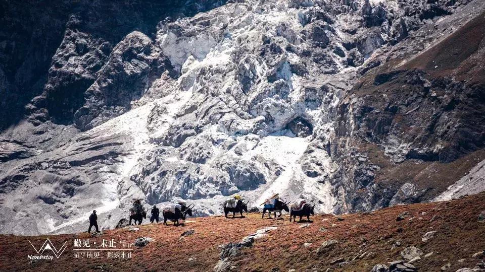 10.1玉龙雪山徒步全攻略,希夏邦马峰徒步路线图