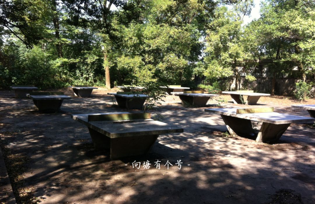 向塘好久不见,向塘中学