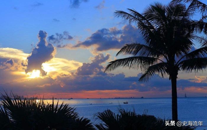 505分能报厦门大学吗,厦大分数线2019艺术