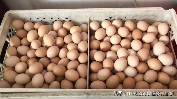 蓟县下营镇红果树农家院每天价位,蓟县哪个农家院最好孩子玩的多