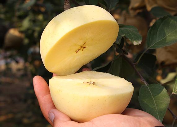 夏天吃什么水果解暑又解馋,炎热夏天吃哪些水果好吃