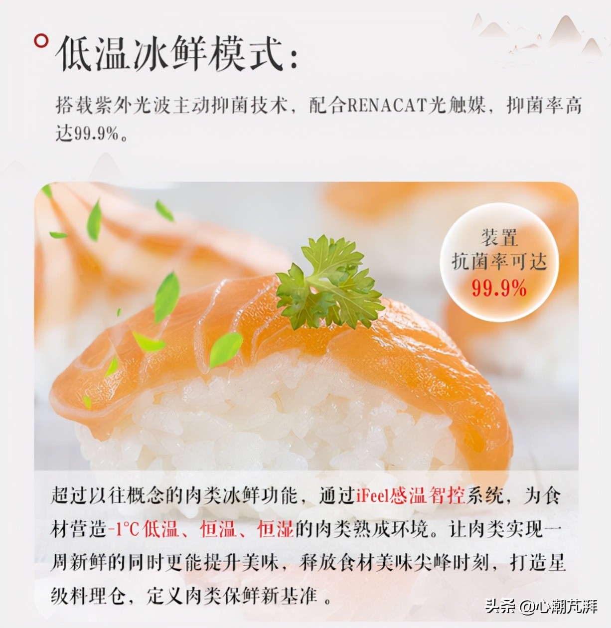 日系冰箱与德系冰箱哪个好,日系德系冰箱对比