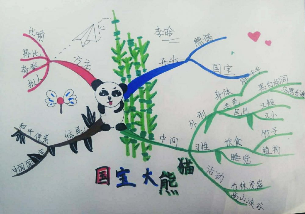 国宝大熊猫作文和绘画,第七单元国宝大熊猫习作300字