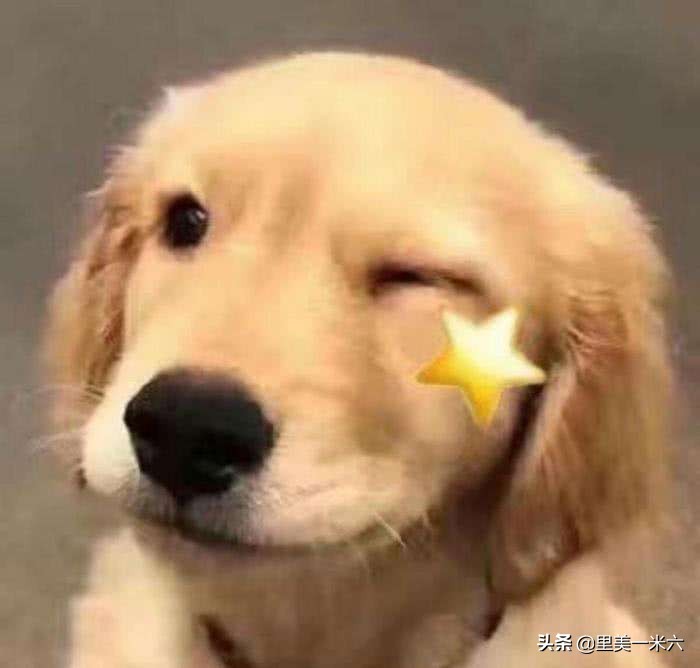 520送男朋友的礼物推荐清单,520送男友实用礼物排行榜同款