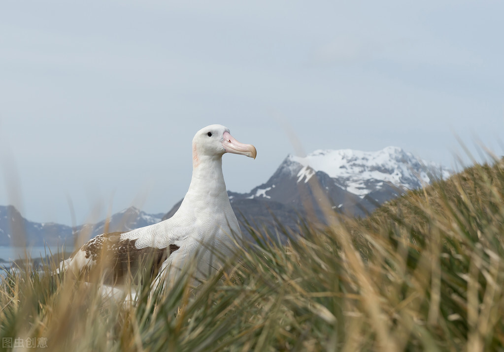 迪奥背后有哪些不为人知的故事？