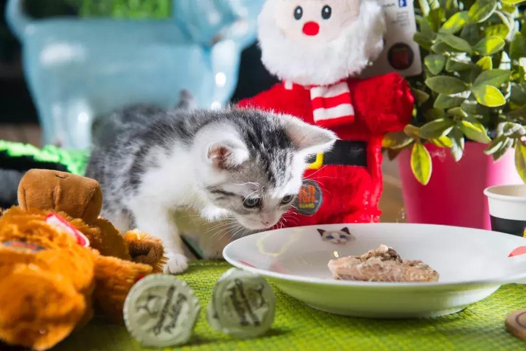 感恩不用花大钱！还有免单机会！天津这条街要火了……