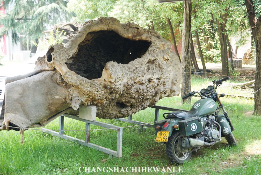 湖南商学院,湖南商学院清吧