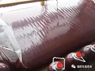 水产养殖用微生物,水产养殖的微生物怎样培养