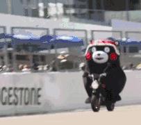 00后们知道自行车中的爱马仕“永久”和“凤凰”吗?