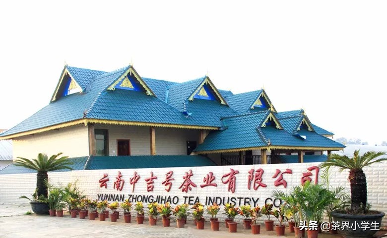 中吉号普洱茶易武正山,中吉号普洱茶24年