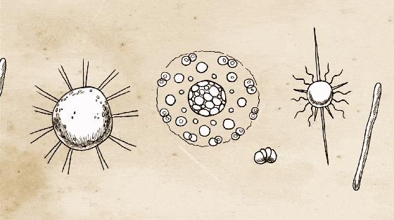 内衣*裤内**多久换洗一次？别以为简单，你也许就错了！