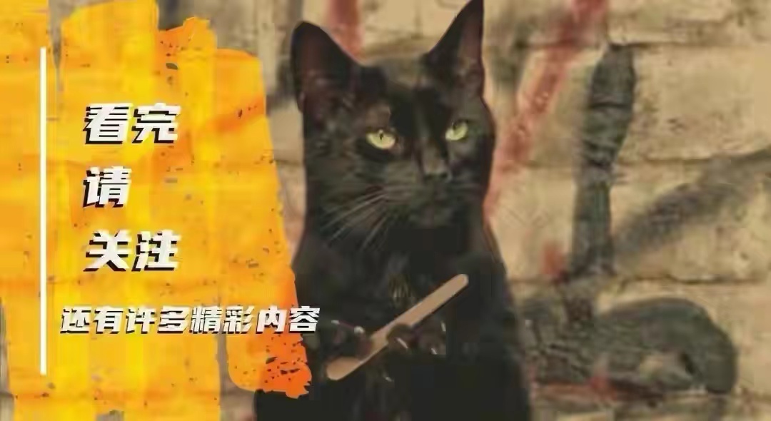 谁是最护baby的人,蠼螋如何照顾自己的孩子