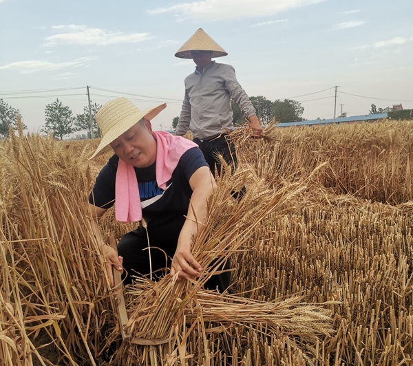 四年坚守只为脱贫一村庄——访河南省五一劳动奖章获得者闫振