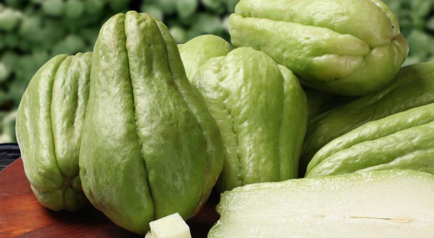 剩下的佛手瓜的种植技术,野生佛手瓜种植技术