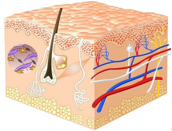 肌底液和精华有什么区别？很多女生分不清楚，别再稀里糊涂啦