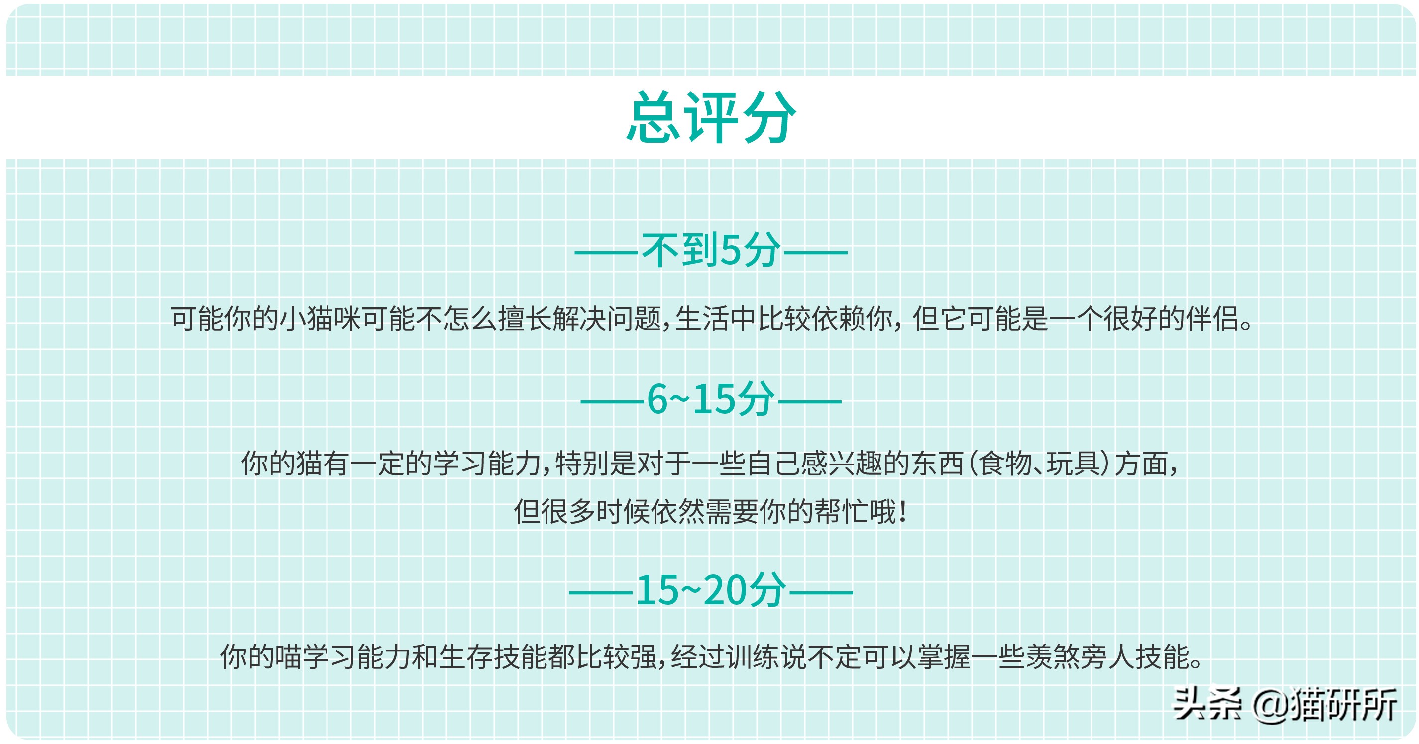 猫比狗聪明吗知乎,猫比狗诚实吗