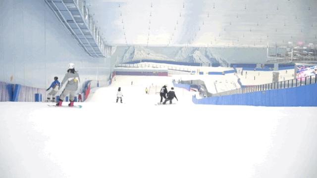 都江堰好耍的有花的地方推荐,都江堰必逛景点