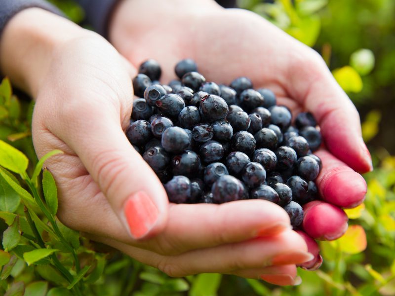 美国最难吃的食物是什么,百年食物变迁