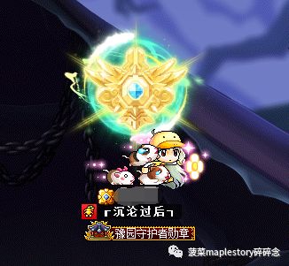 冒险岛恶魔复仇者和恶魔猎手,冒险岛恶魔复仇者完美核心