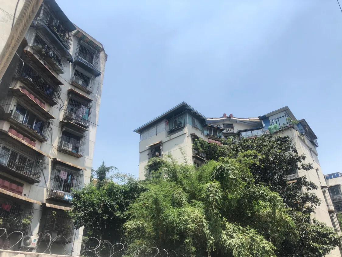 棕北棕南，这个曾比玉林桐梓林还牛的富人区，已经“过气”