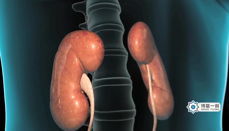 古本易筋经十二式练习,道家千年不传之秘快速补肾法