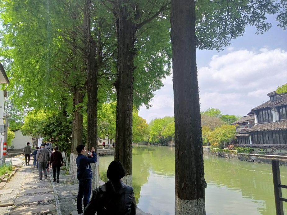 金泽古镇成善坊,上海古镇金泽桥