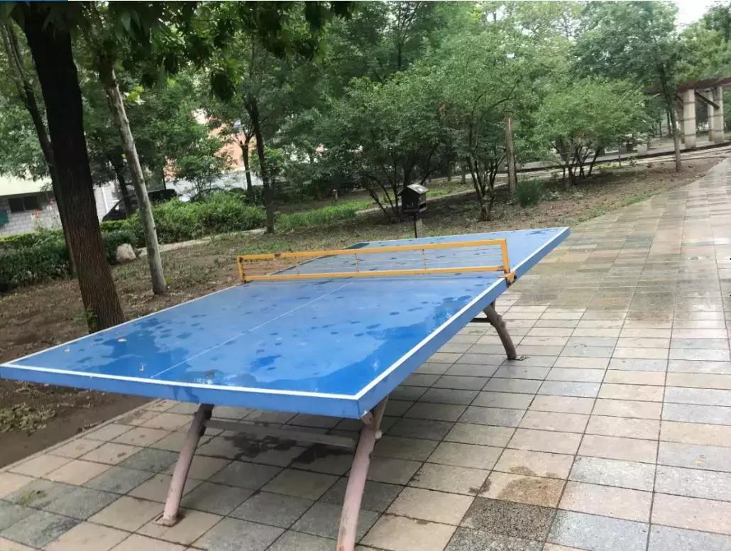 新划进光明中学的这个老小区，位置真好！还不贵