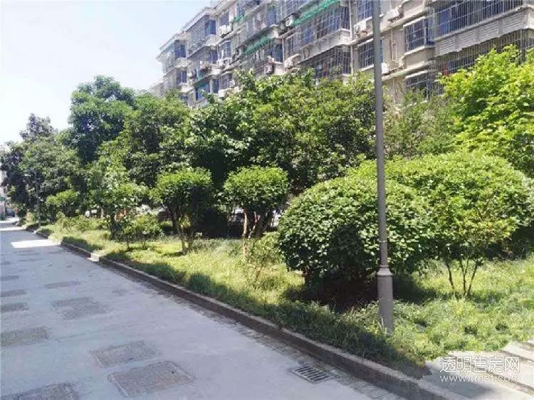 【淘屋跑盘日记】90年代的萧山老城区，现在如何了？