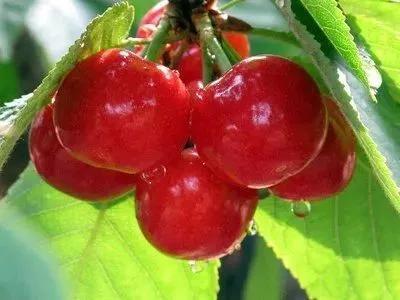 周边有什么可逛的地方吗,4月适合去哪儿旅游攻略