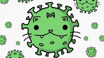 女性脚上长跖疣会容易得宫颈癌吗,宫颈癌未生育过的女性容易得吗