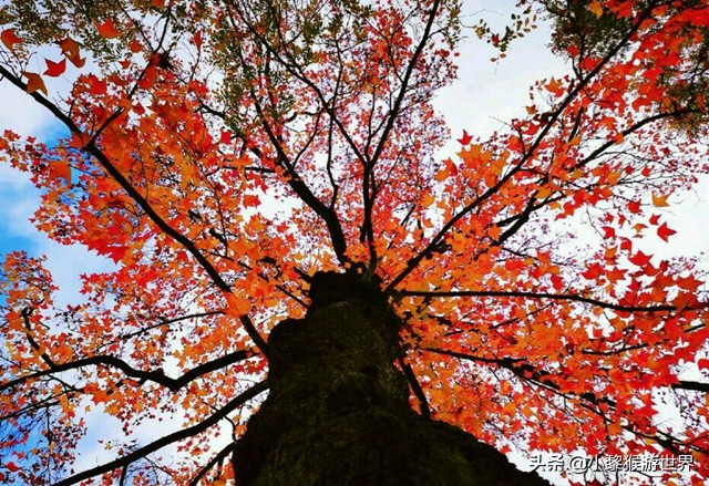 苏州11月份旅游攻略必去景点,七月苏州旅游必去十大景点有哪些