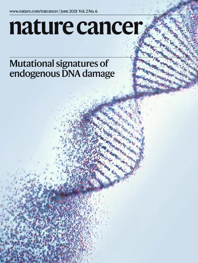 自然期刊封面,最新自然期刊