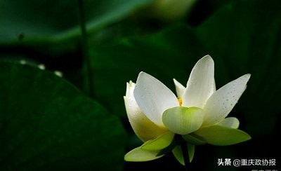 美文心灵的感悟,美文国学智慧