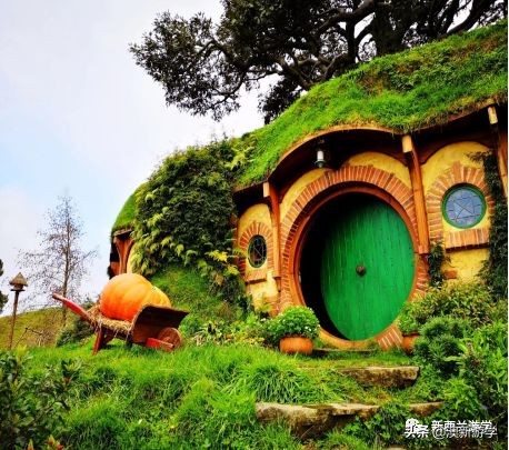 广之旅新西兰南北岛10天,新西兰南北岛春节旅游攻略