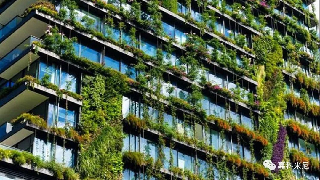 国际能源署最新消息,国际能源署发布数据