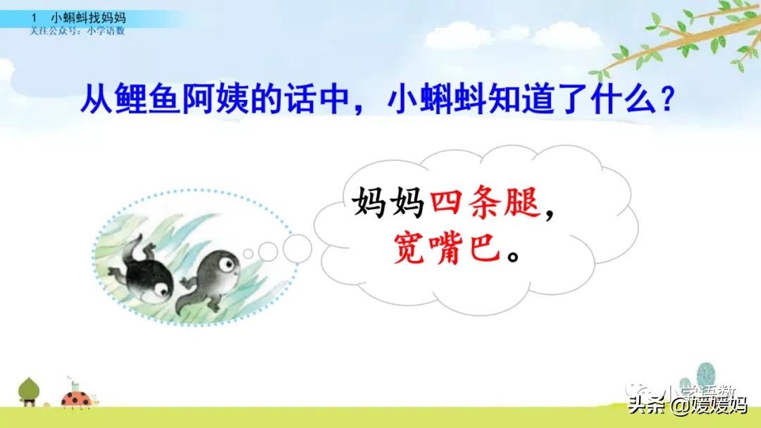 二年级上册小蝌蚪找妈妈听写词语,朗读二年级上册语文小蝌蚪找妈妈