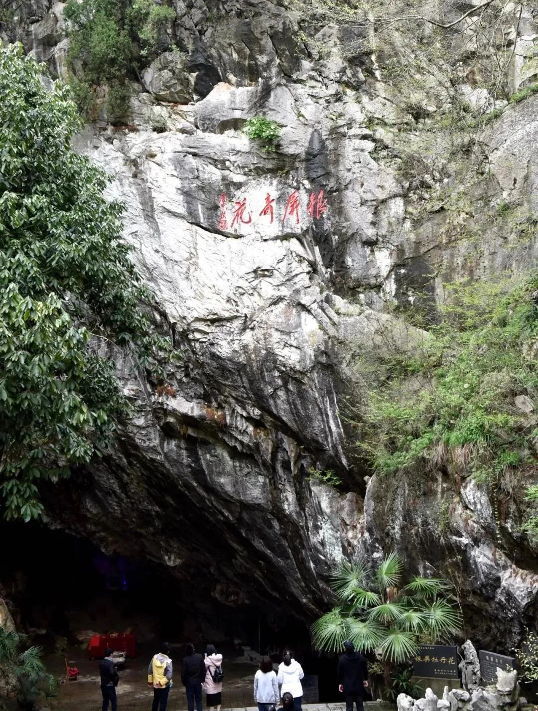 仙人洞风景区,仙人洞龙虎泉