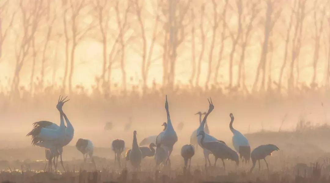 五一宁波出发哪个机票最便宜,宁波特价国际国内机票划算