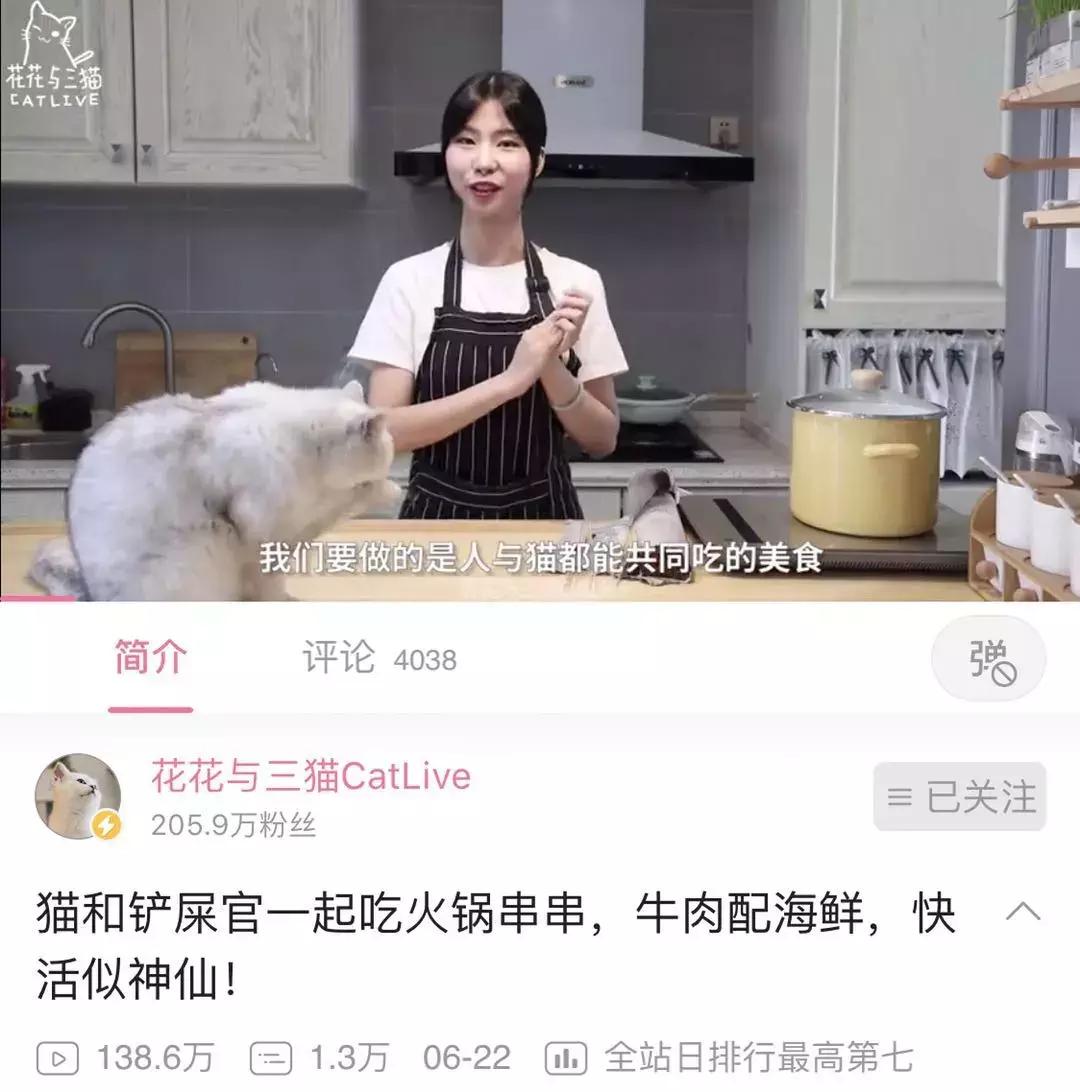 b站十周年新消息,b站哪个up主值得看