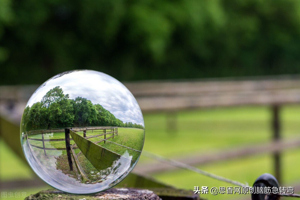 圆圆乎乎好东西,人家都是皮包骨,我却生来骨包皮(打一物)