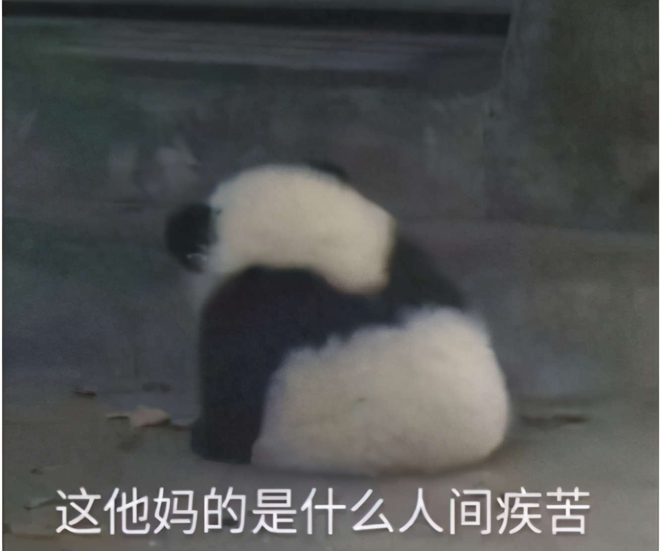 如果护士有段位,假如口腔护士有段位