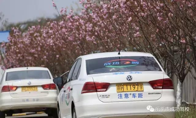 成功驾校网红,成功驾校庞君