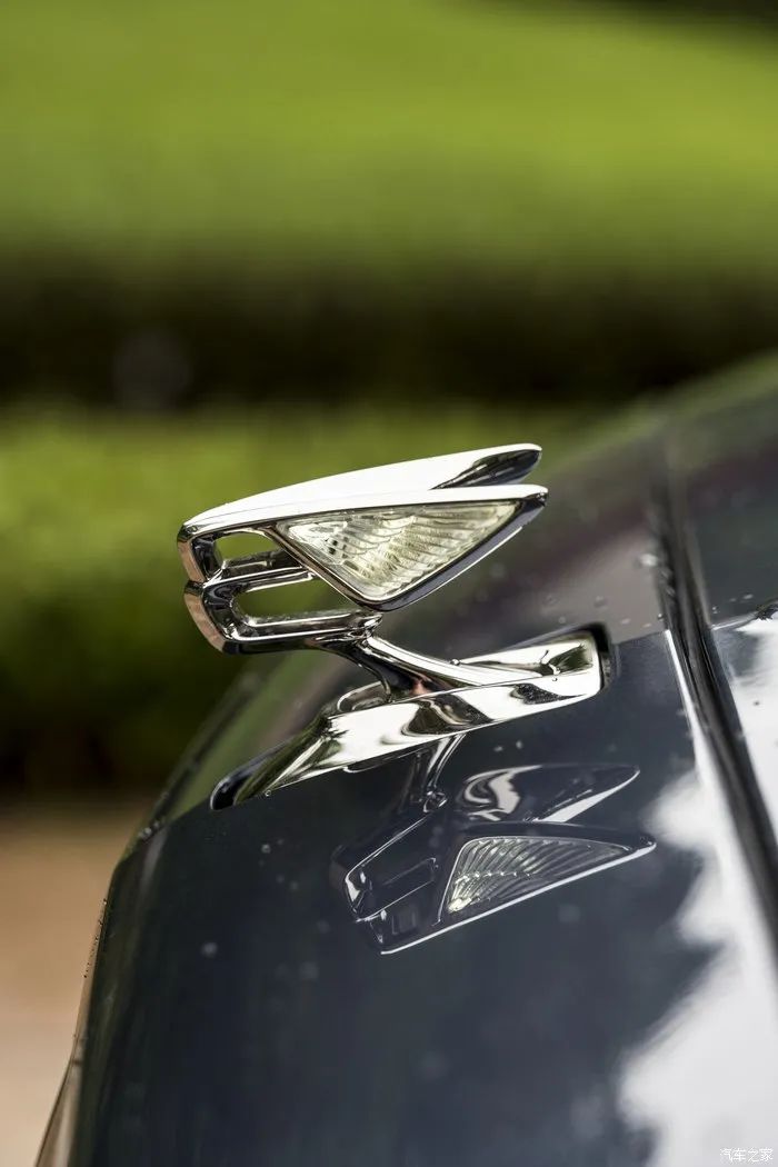 宾利飞驰对比迈巴赫s480气场,宾利飞驰街拍气场霸气视频