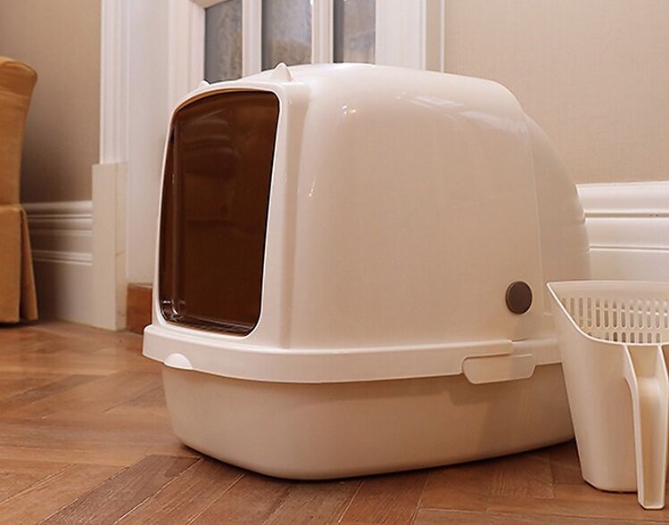 养猫必买哪几样东西 (新手养猫需要买的用品)